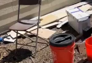 Bee Conscious Removal Video 01