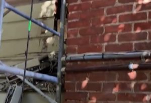 Bee Conscious Removal Video 04